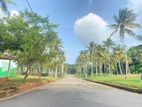 Land for Sale in Udugampoa