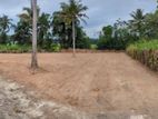 Land for sale in Udugampola Develepola