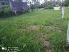 Land For Sale in Udugampola