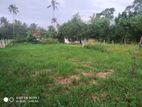 Land For Sale in Udugampola