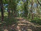 Land for Sale in Udugampola