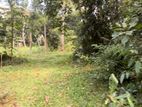 Land for Sale in Udugampola