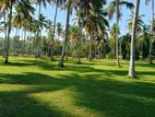 Land For sale in Udugampola