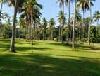Land for sale in udugampola