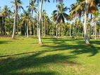 Land for Sale in Udugampola