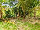 Land for sale in Udugampola