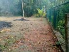 Land for Sale in Udugampola
