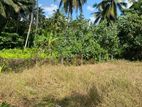 Land for Sale in Udugampola
