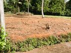 Land for Sale in Udugampola