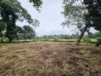 Land for Sale in Udugampola, Gampaha.