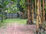 Land For Sale in Udugampola, Gampaha