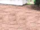 Land For Sale in Udugampola, T07