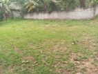 Land for Sale in Udugampola Y1