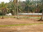 Land for Sale In Udumulla