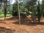 Land for Sale in Udupihilla, Matale