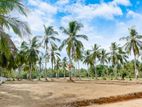 Land for Sale in Uhumiya