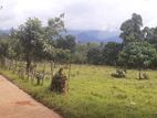 Land for Sale in Ukuwela
