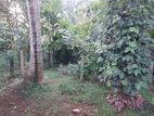 Land For Sale In Ukuwela