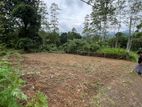 Land for Sale in Ukuwela Matale