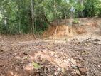 Land for Sale in Ulapane (60 Perch)