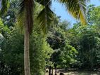 Land for Sale in Unawatuna, Talpe | Price LKR 45 Million (LA4673)