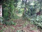 Land For Sale In Urapola