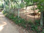 Land for Sale in Urapola