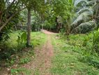 Land for sale in urapola