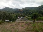 Land for Sale in Uthuwankanda
