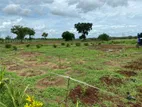 Land for Sale in Vavuniya