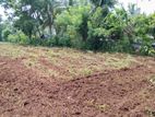 Land for Sale in Vavuniya