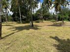 Land for Sale in Veyangoda City