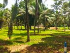 Land for sale in veyangoda - Downpayment 5 laks only