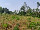 Land For Sale In Veyangoda