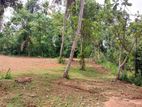 Land for Sale in Veyangoda