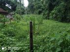 Land for sale in Veyangoda