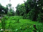 Land For Sale In Veyangoda