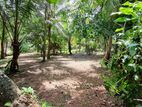 Land for Sale in Veyangoda