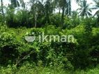 Land for Sale in Veyangoda