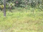 Land for Sale in Veyangoda