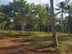 Land for Sale in Veyangoda