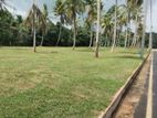 Land for Sale in Veyangoda