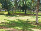 Land for Sale in Veyangoda