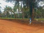 Land for Sale in Veyangoda