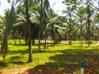 Land for Sale in Veyangoda