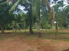 Land for Sale in Veyangoda