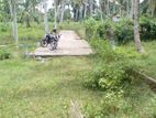 Land for Sale in Veyangoda