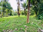 Land for Sale in Veyangoda