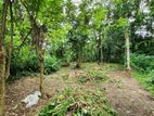 Land For Sale In Veyangoda