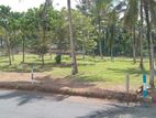 Land for Sale in Veyangoda